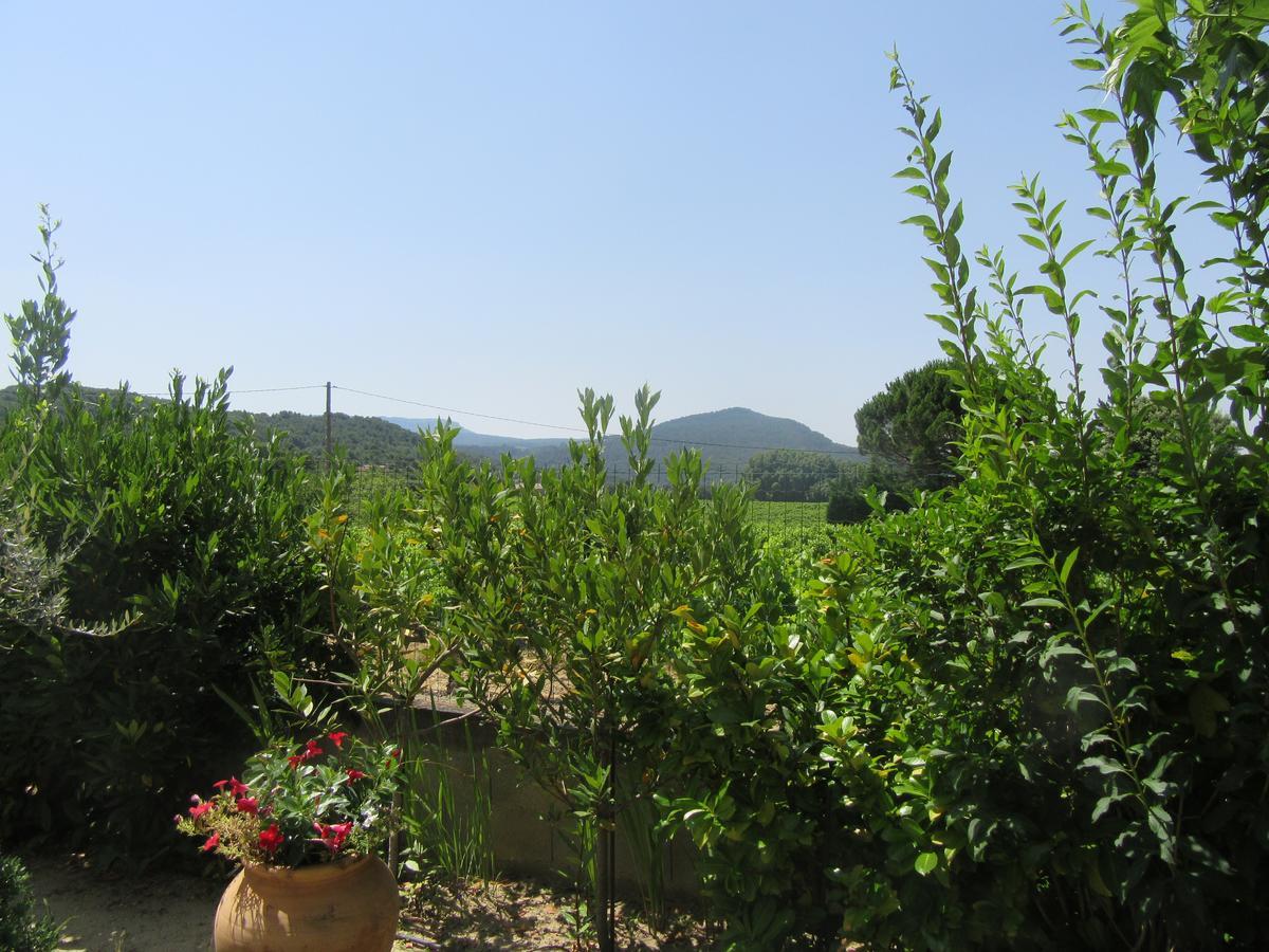 Le Grand Barsan Apartment Vaison-la-Romaine Exterior foto