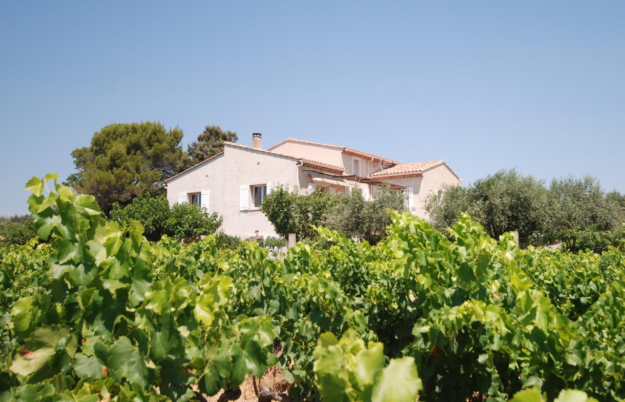 Le Grand Barsan Apartment Vaison-la-Romaine Exterior foto